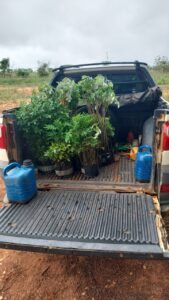 carvalho-solucoes-ambientais-viveiro-de-mudas-recuperacao-ambiental-compensacao-cetesb-3