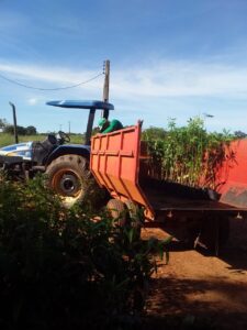carvalho-solucoes-ambientais-viveiro-de-mudas-recuperacao-ambiental-compensacao-cetesb-2
