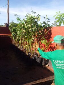 carvalho-solucoes-ambientais-viveiro-de-mudas-recuperacao-ambiental-compensacao-cetesb-8